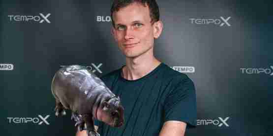 V神抛售100亿枚Meme币MOODENG:全部捐给了慈善机构